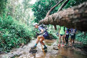 BIB: 
                            <button type="button" onclick="openModal(25375143)" class="btn btn-primary btn-sm float-right btn-popup" data-toggle="modal" data-target=".modal-high-quality">
                        <i class="fas fa-shopping-cart"></i> Add to Cart
                    </button>
                                            <button type="button" onclick="isThisMe(25375143, true)" class="btn btn-success btn-sm float-right btn-popup btn-isme hidden" data-toggle="tooltip" data-placement="bottom" title="นี่คือรูปของคุณใช่ไหม คลิกที่นี่เพื่อเอาเข้าอัลบั้ม">
                        <i class="fas fa-plus"></i> Add to album
                    </button>
                    <button type="button" onclick="isThisMe(25375143, false)" class="btn btn-warning btn-sm float-right btn-popup btn-isnotme hidden">
                        <i class="fas fa-ban"></i> Remove from album
                    </button>